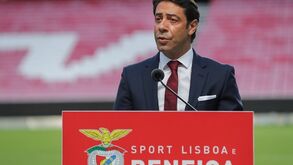 As alterações pensadas por Rui Costa para a estrutura do Benfica