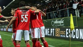 O resumo do Tondela-Benfica: golos, casos e outros lances