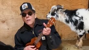 Kevin Bacon faz rábula a Tom Brady