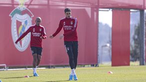 Benfica mostra imagens da preparação para o duelo com o Santa Clara com novidades
