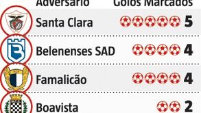 Darwin: melhor série sobre a maior vítima