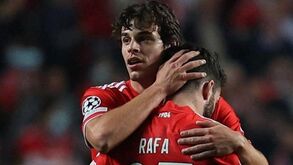 Dani confia na passagem do Benfica: «Na 2ª parte foi muito superior ao Ajax»