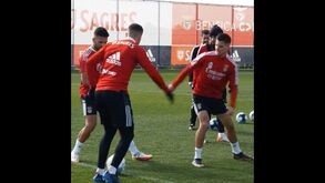 Assim prepara o Benfica a receção ao V. Guimarães: veja as imagens