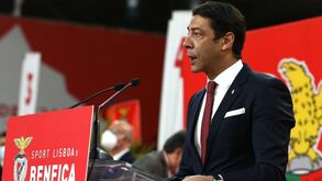 Rui Costa: «Sou o primeiro a assumir a responsabilidade de não estarmos onde gostaríamos de estar»