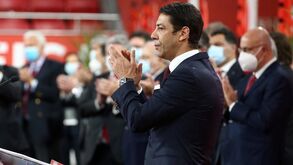 Rui Costa expressa 