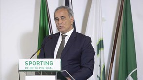 João Palma: «Que os sócios do Sporting participem na vida ativa do clube»