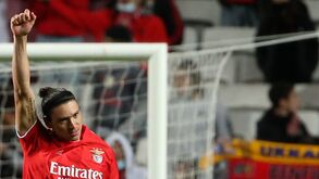 Benfica inflaciona Darwin: 60 milhões vistos como um valor modesto