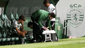 Sporting explica situação clínica de Daniel Bragança e João Palhinha