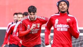 Benfica prepara jogo com o Vizela sob olhar atento de Rui Costa