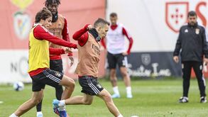 Benfica prepara jogo com o Vizela: veja as imagens
