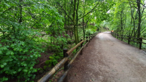 Ecopista do Vouga deverá ficar ligada à do Dão até final do verão