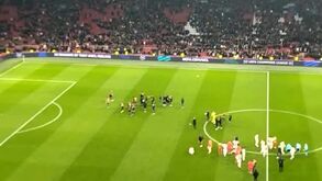 Apito final e... euforia no banco do Benfica: foi assim que as águias celebraram a vitória na Holanda