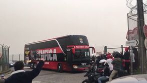Benfica recebido em Lisboa por 30 eufóricos adeptos