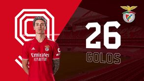 Os números no Benfica e o que dizem dele na Europa: Darwin em destaque após golo decisivo na Champions