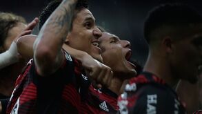 Flamengo na final do estadual Carioca