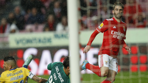 O resumo do Benfica-Estoril: golos, casos e outros lances