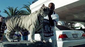 Mike Tyson admite que dormia com os seus tigres: «O cheiro dos gases era a pior coisa do mundo»