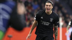 Cobiça aumenta: «Darwin é jogador de Premier League. É o que estes clubes precisam»