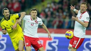 Ibrahimovic não atira a toalha ao chão: «Vou continuar, todos viram um animal diferente»