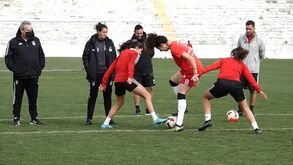 Futebol e basquetebol feminino do Benfica em treino-convívio na Tapadinha