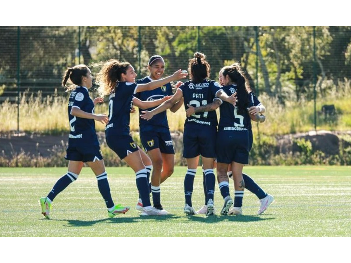 Jogo do Amora FC nas meias finais da Taça de Portugal Feminina com apoio  solidário para animais - Diário do Distrito