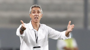 Marcos Braz defende Paulo Sousa: «A confiança no treinador é clara»