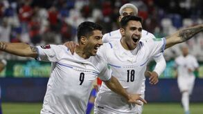 Renovar na continuidade: análise ao Uruguai, adversário de Portugal no Mundial'2022