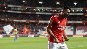 Gonçalo Ramos recorda estreia pelo Benfica: «Ainda hoje não consigo explicar o que aconteceu»