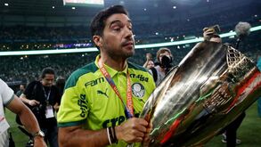 Presidente da FPF felicita Abel Ferreira pela conquista do 'Paulistão'