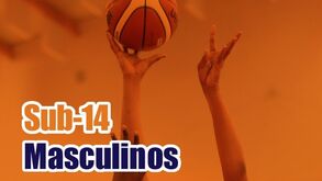 Sub-14 masculinos