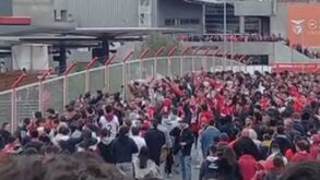 Adeptos do Benfica em festa na Luz bem antes do jogo