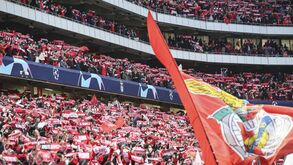 Benfica destaca 