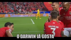 'Rapaz Malvado' volta a atacar: Agora faz paródia com Benfica... e Darwin