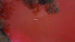 Impressionante: nadadora lituana nada em lago 'pintado' de vermelho em frente à Embaixada da Rússia
