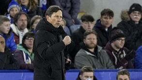 Schmidt por dias