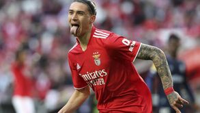 Veríssimo e a cobiça por Darwin: «Como benfiquista espero que vá por números próximos aos de João Félix»