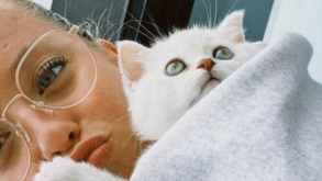 Gata de Margarida Corceiro “herdou os olhos da mãe”