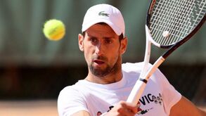 Marcelo Ríos sobre Djokovic: «É um estúpido, vai f... a carreira por causa de uma vacina»