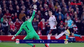 O rendimento desportivo e o retorno financeiro: o balanço da participação do Benfica na Champions