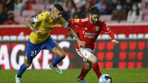Rafa marca o golo de uma vida no Benfica-Estoril, após arrancada de cerca de 80 metros!