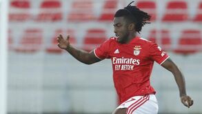 Benfica solidário com Sandro Cruz: «O racismo é abjeto»