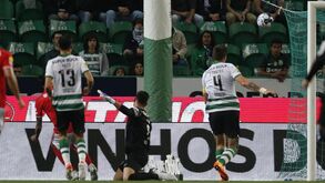 Manuel Fernandes e o resultado do dérbi: «Nunca tinha visto o Benfica a jogar assim» 