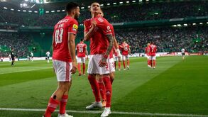 A ascensão de Darwin: Cotação disparou esta época