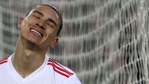 José Gomes: «É possível Darwin ir para um dos melhores clubes do mundo»