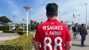 Adeptos do Benfica prontos para apoiar a equipa na Youth League