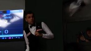 Pombo interrompe partida do Campeonato do Mundo de Snooker e provoca reações impagáveis