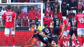 José Calado: «Schmidt colocou Rui Costa numa posição super-complicada»