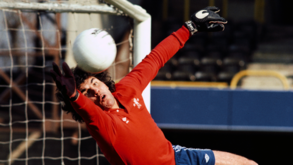 Borota: a estranha forma de vida do guarda-redes abstrato