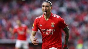 Darwin supera Mbappé e Haaland nos sub-23 com mais golos na Europa: há um portista na lista