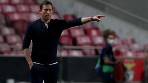 Benfica anuncia princípio de acordo com Schmidt